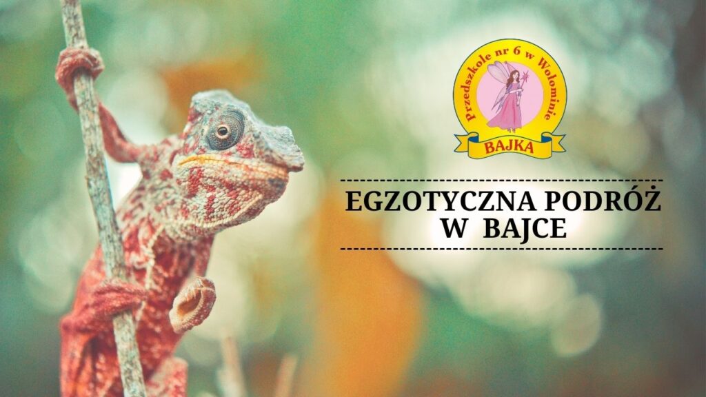 Zdjęcie: Egzotyczna podróż