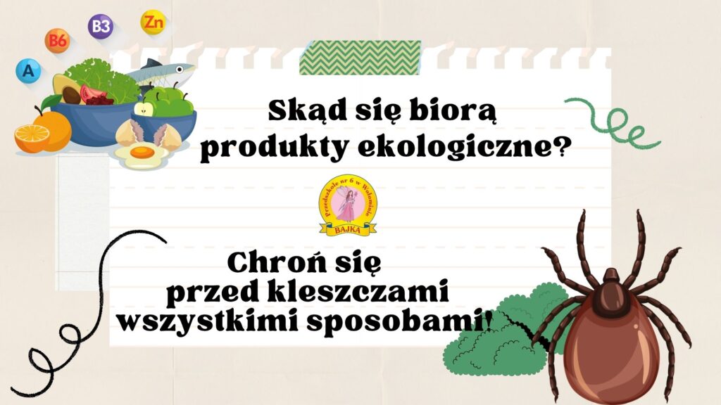 Zdjęcie: PSSE Wołomin w Bajce
