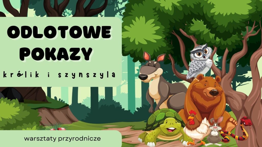 Zdjęcie: Odlotowe pokazy