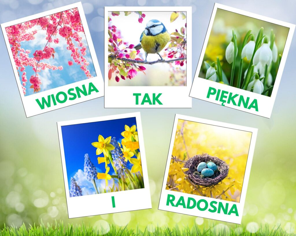 Zdjęcie: 🐝Wiosna, wiosna ach to ty 🪻