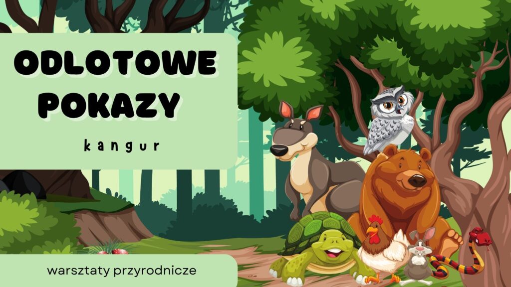 Zdjęcie: 🦘ODLOTOWE POKAZY🦘